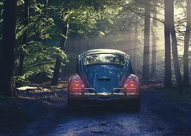 Vintage Beetle in Forest