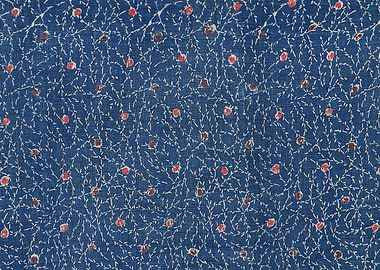 Blue Fabric with Floral Pattern