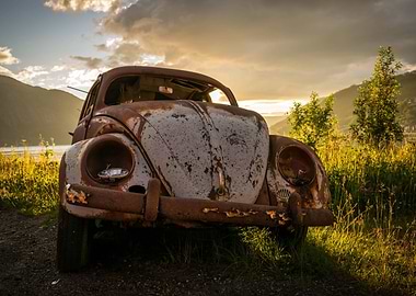 Rusty Vintage Beetle