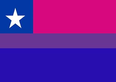 Bisexual Pride Flag