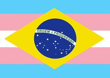 Brazilian Flag with Transgender Colors