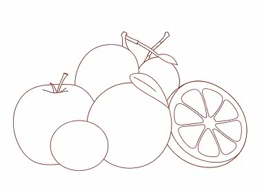 Fruit Line Art Still Life