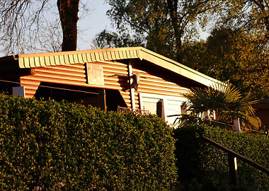 Wooden Cabin Behind Green Hedge