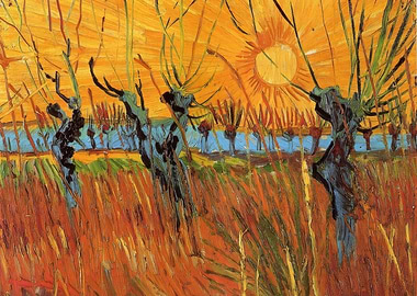 Pollard Willows at Sunset by Van Gogh