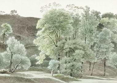 Trees in the Subiaco Area