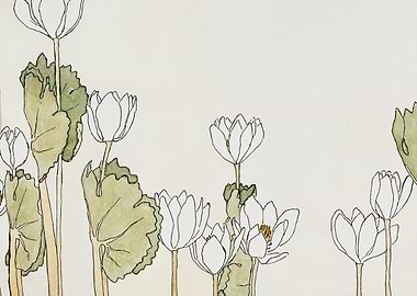 White Flowers and Green Leaves Illustration