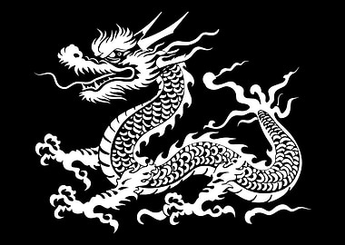 White Dragon on Black Background