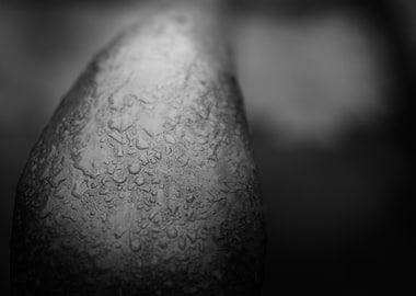 Monochrome Water Droplets on Surface