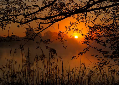 Golden Sunrise over Misty Lake