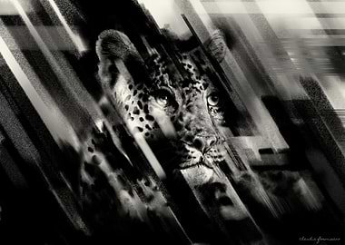 Whispers of the Wild