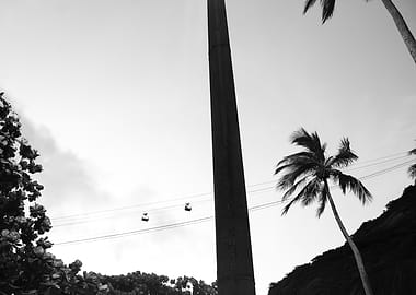 Black and White Tropical Cable Car