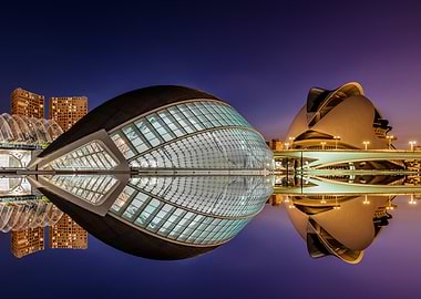 City of Arts and Sciences Reflection