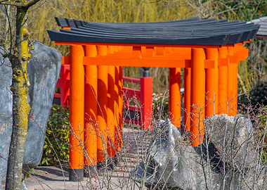 Japanese Torii Gate in Garden Setting