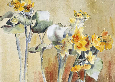 Watercolor Painting of Yellow Flowers