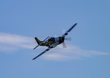 P-51 Mustang in flight