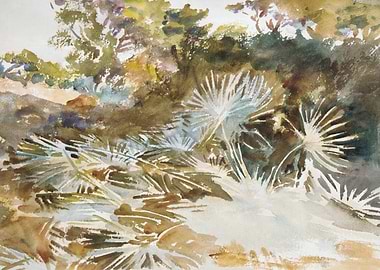 Watercolor Painting of Palm Trees
