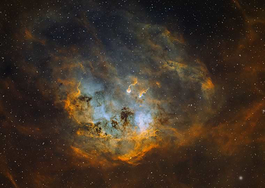 The Tadpole Nebula