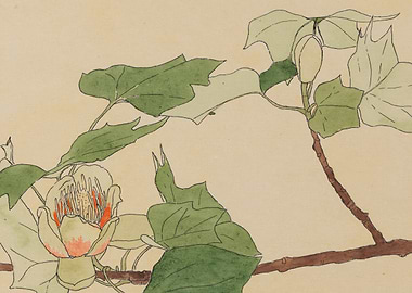 Floral branch with flower and leaves