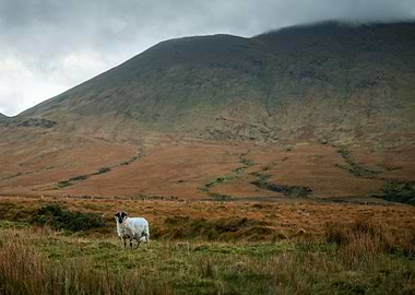 The Watcher of Brandon Valley