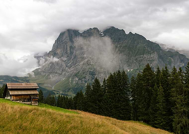 Mountain Cabin Landscape