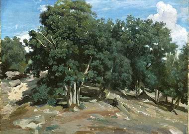 Forest Landscape Painting