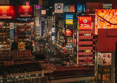 Shibuya Crossing in Tokyo