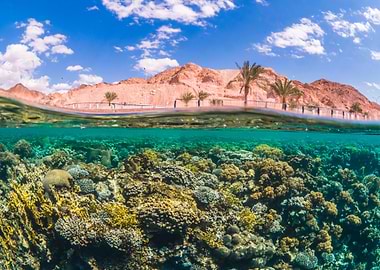 Underwater Coral Reef and Coastal Landscape in Aqaba - Jordan