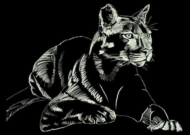 'Mountain Lion' Jamie's Hand-Drawn Cat Collection