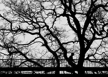 Cyclist among the branches