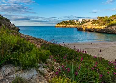 Spring Cove at Sunrise Cala Anguila Beach