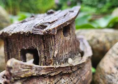 Miniature Wooden Boat in a Garden