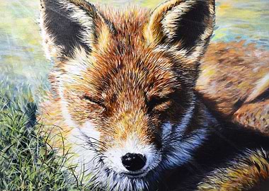 Resting Fox Portrait