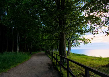 Path through forest near the sea