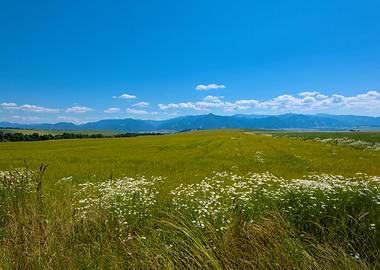 Green Field with Mountains and Sky