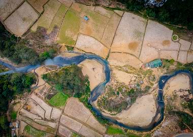 Aerial View of River and Fields