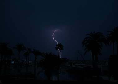 Lightning Strike Over Palm Trees