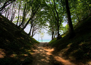 Path to the Beach Through a Forest Valley