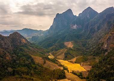 Mountainous Landscape with Rice Fields