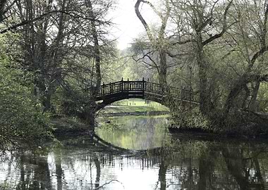 Bridge over water in park