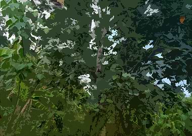 Lush Green Forest Canopy 6