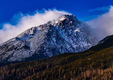 Snowy Mountain Peak with Forest