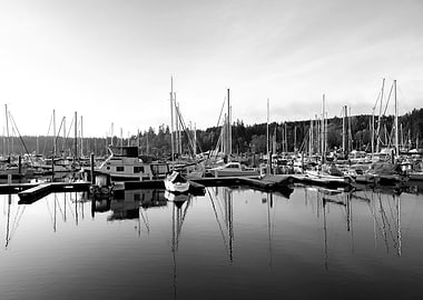 Sailboats and yachts docked at a quiet marina