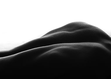 Monochrome Backscape