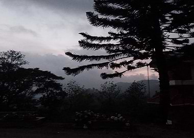 Gloomy Landscape with Trees and Sky FS1