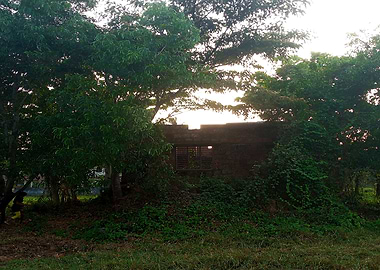 Overgrown Building in Nature FS3