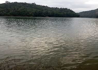Calm Lake Surrounded by Greenery Q4