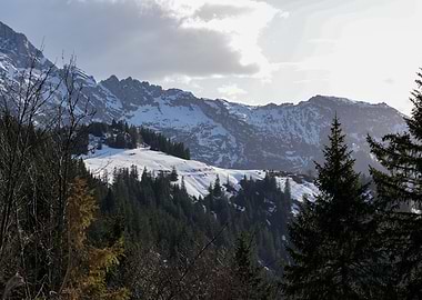 Snowy Mountain Landscape with Evergreen Trees | Rossfeld Panoramic Road, Germany