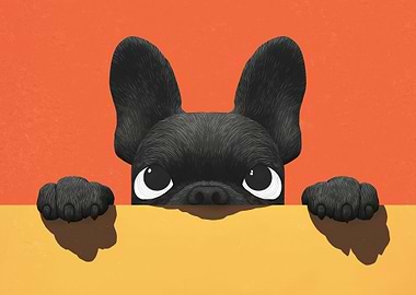 Peeking French Bulldog