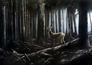 Deer in Dark Forest