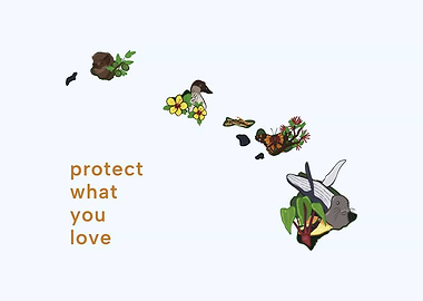 Hawaii State Symbols